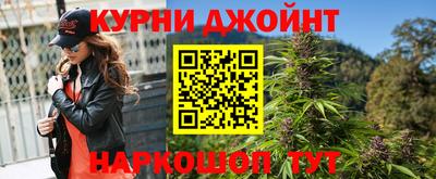 крисы Нальчик