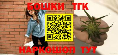 крисы Нальчик
