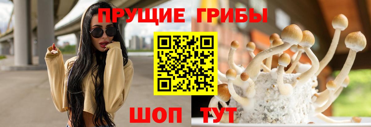 Стрежевой  Псилоцибиновые грибы мухоморы  Галлюциногенные грибы прущие грибы  Вход с VPN 